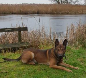 1-69005893 477358913042518 6092278472195964928 n