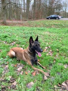 1-76788281 2257479824550922 2112396818913427456 n