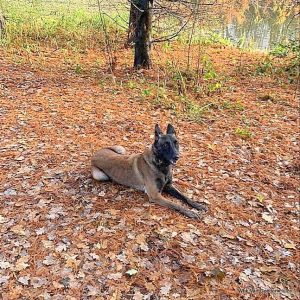 1-79121697 445085736397523 3910209028814274560 n