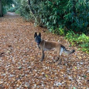 1-79203743 644373879703607 2175167121699373056 n