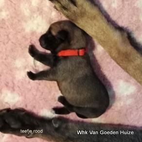 1-86754913 653301385418169 8535098107422048256 n