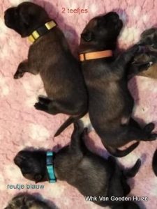 1-86934765 209303706927833 8557728212795260928 n