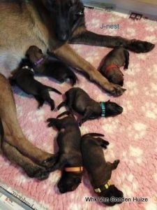 1-86999756 2475983182716504 4061343005200613376 n 1