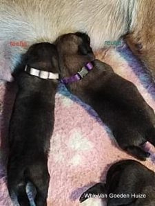 1-87293586 885932551849586 6999275500963102720 n