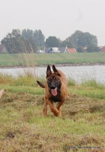 1-DSC 0088 (1) (1) (1)