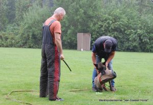 1-DSC 0249 (1) (1) (1)