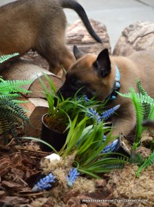 1-DSC 0259 (1) (1) (1)