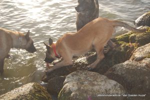 1-DSC 0287 (1) (1) (1)