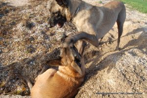 1-DSC 0435 (1) (1) (1)