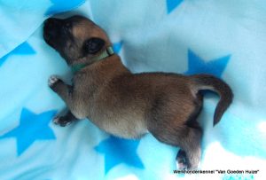 1-DSC 0904 (1) (1) (1)