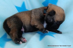 1-DSC 0906 (1) (1) (1)