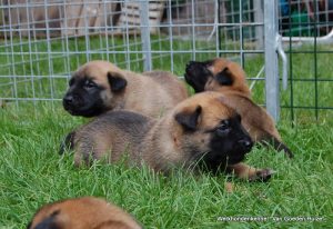 1-DSC 1020 (1) (1) (1)