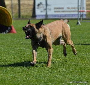 1-DSC 1174 (1) (1) (1)