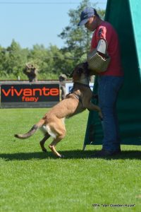 1-DSC 1176 (1) (1) (1)