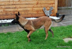 1-DSC 1185 (1) (1) (1) (1)