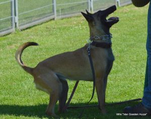 1-DSC 1206 (1) (1) (1)