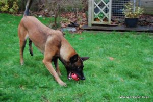 1-DSC 1233 (1) (1) (1)