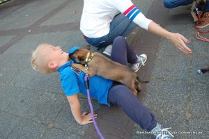 1-DSC 1332 (1) (1) (1)