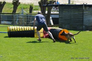 1-DSC 1347 (1) (1) (1)