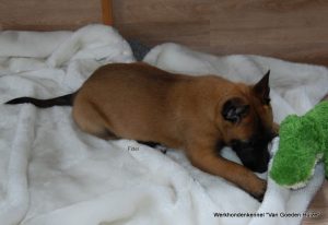 1-DSC 1486 (1) (1) (1)