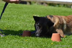 1-DSC 1490 (1) (1) (1)