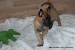 1-DSC 1502 (1) (1) (1)