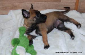 1-DSC 1536 (1) (1) (1)