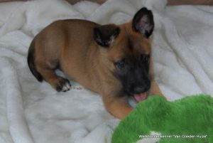 1-DSC 1545 (1) (1) (1)