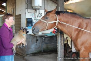 1-DSC 1547 (1) (1) (1)