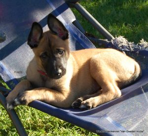 1-DSC 1676 (1) (1) (1)