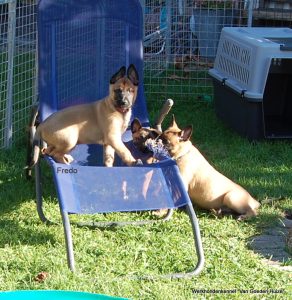 1-DSC 1684-001 (1) (1)