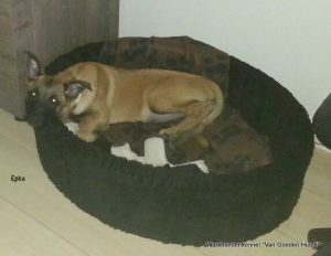 1-IMG-20150322-WA0002