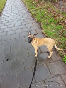 1-IMG-20150327-WA0001