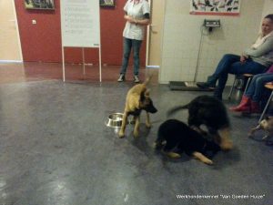 1-IMG-20150327-WA0002