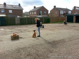 1-IMG-20150407-WA0002