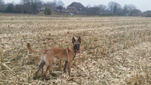 1-IMG-20160328-WA0000-001