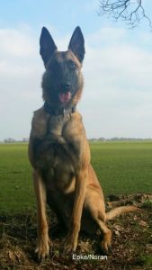 1-IMG-20160328-WA0001-001