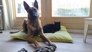 1-IMG-20160328-WA0002