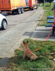 1-IMG-20161008-WA0002