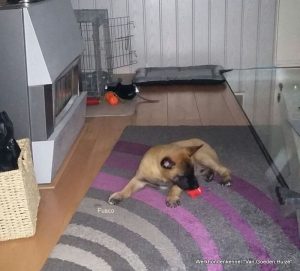 1-IMG-20161009-WA0000