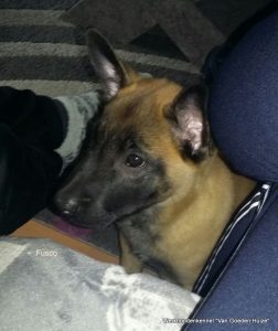 1-IMG-20161012-WA0000