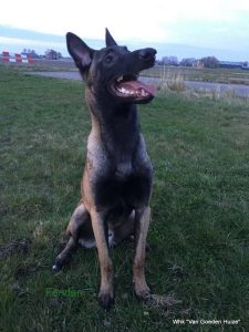 1-IMG-20170330-WA0001