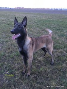 1-IMG-20170330-WA0002