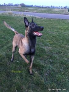 1-IMG-20170330-WA0003