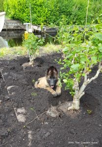 1-IMG-20170615-WA0001