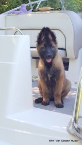 1-IMG-20170618-WA0000