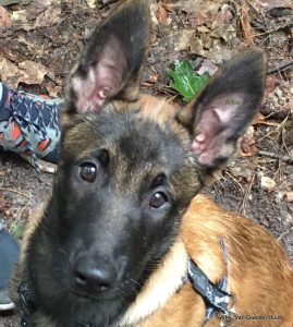 1-IMG-20170626-WA0000