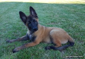 1-IMG-20170705-WA0001