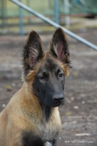 1-IMG-20170709-WA0001