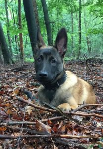 1-IMG-20170712-WA0003